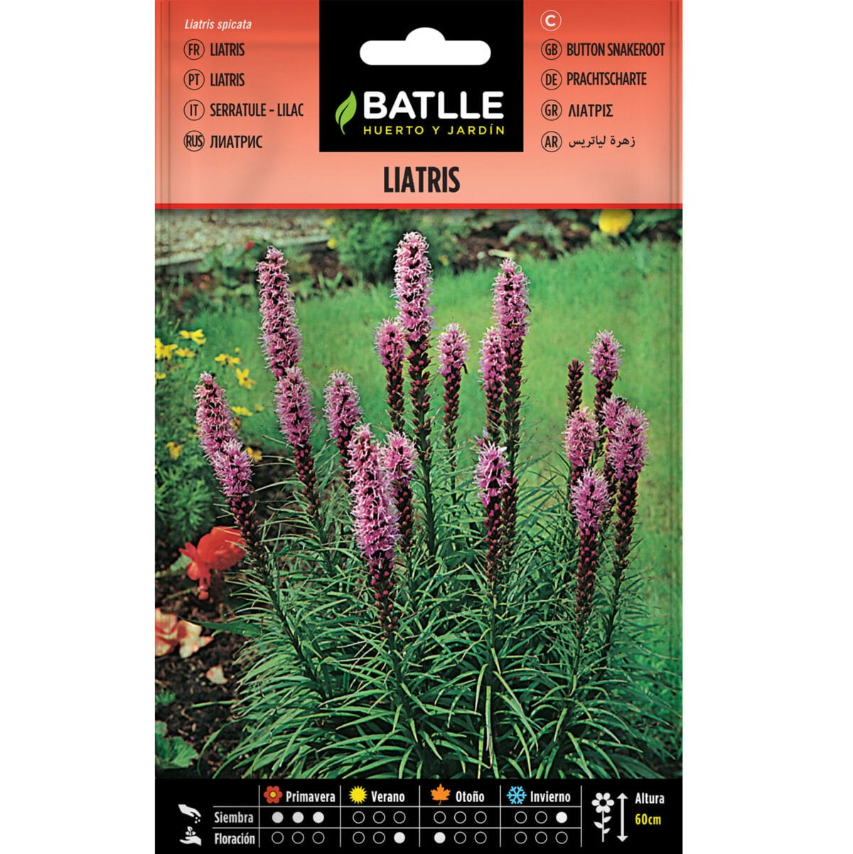 LIATRIS - Imagen 1
