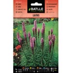 LIATRIS