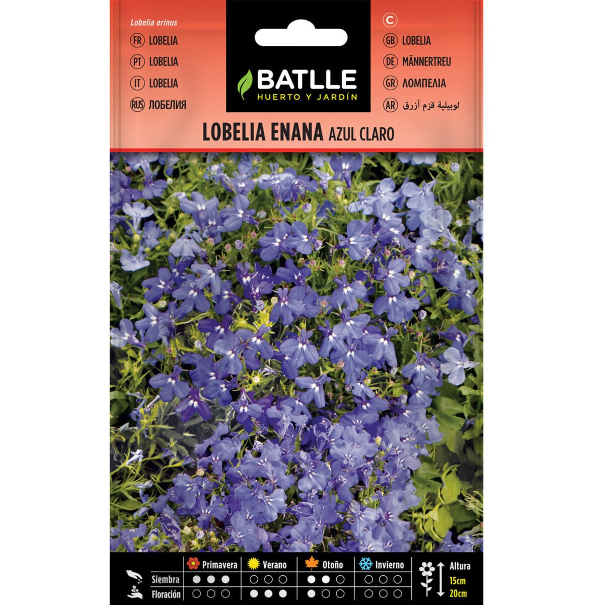 LOBELIA ENANA AZUL CLARO - Imagen 1