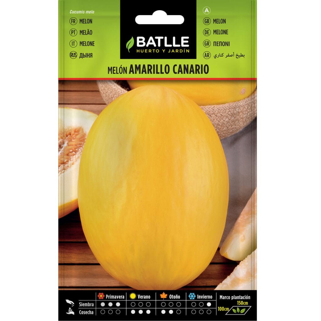 Melon Amarillo Canario
