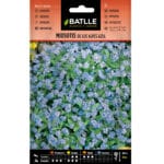 MIOSOTIS DE LOS ALPES AZUL