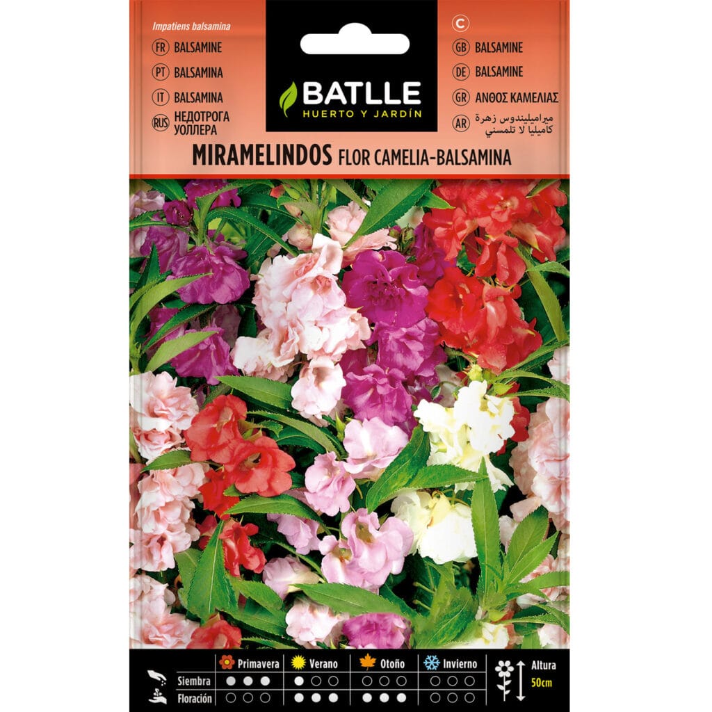 Miramelindos Flor Camelia Balsamina
