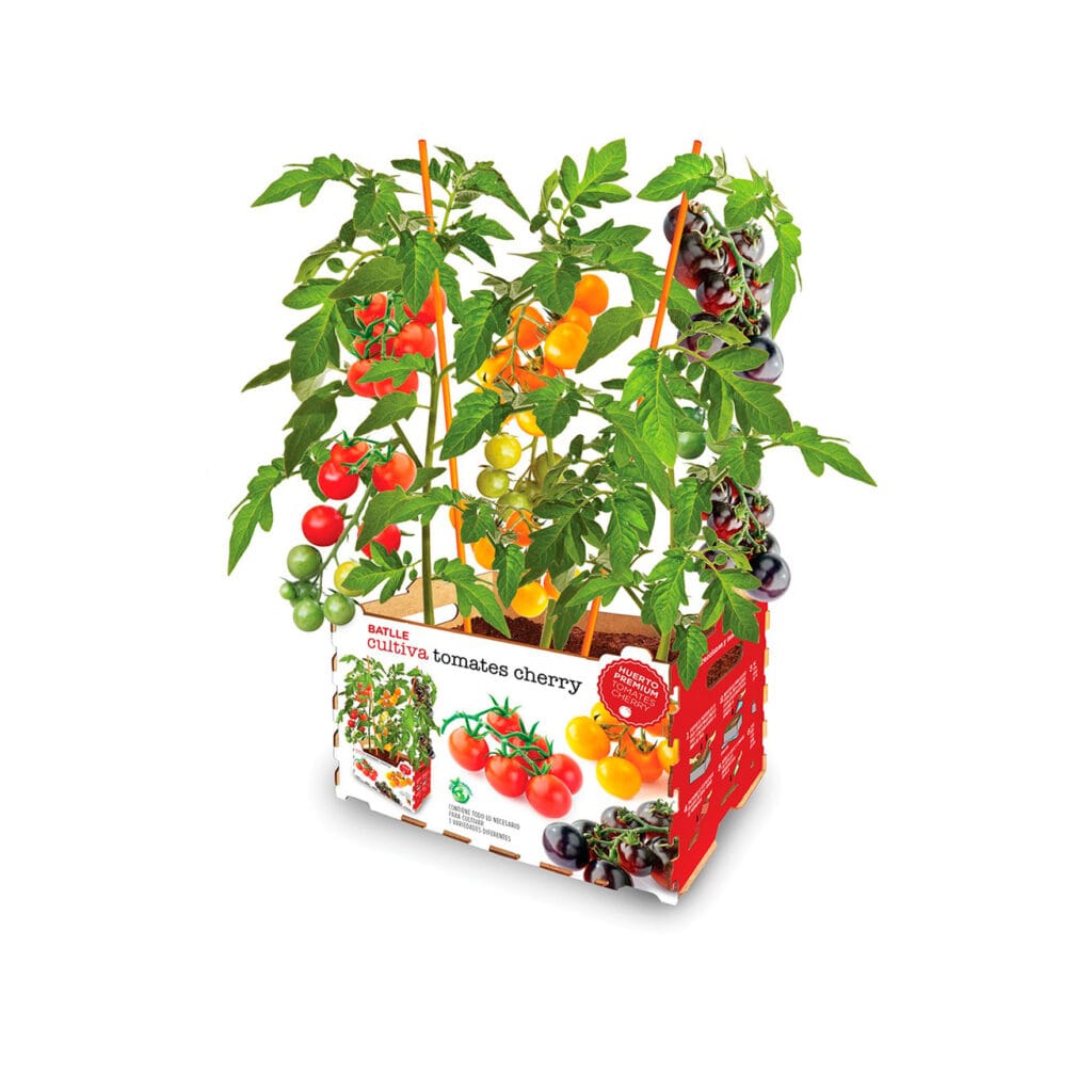 Mix Tomates Cherry2