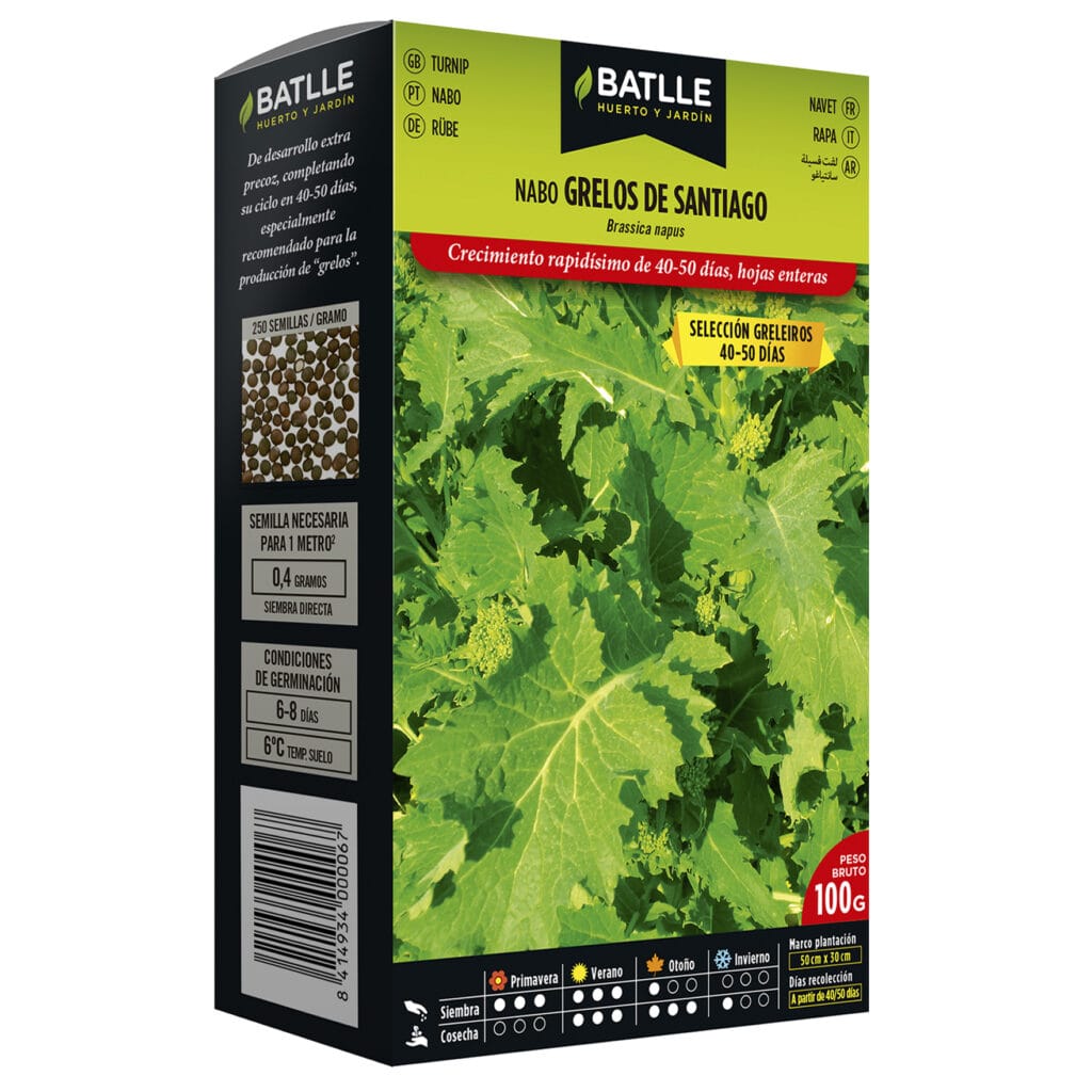 Nabo Grelos De Santiago sel. Greleiros