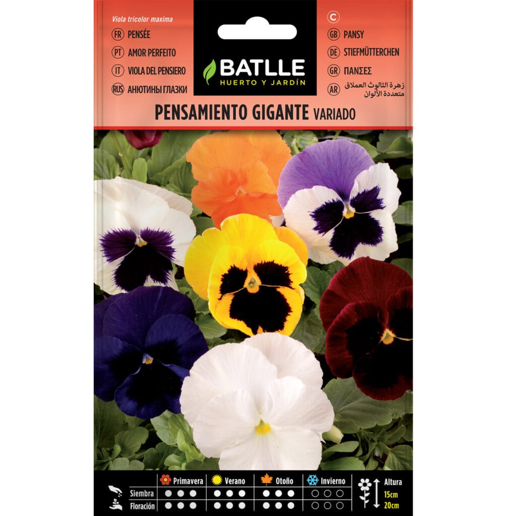 Pensamiento Gigante Variado