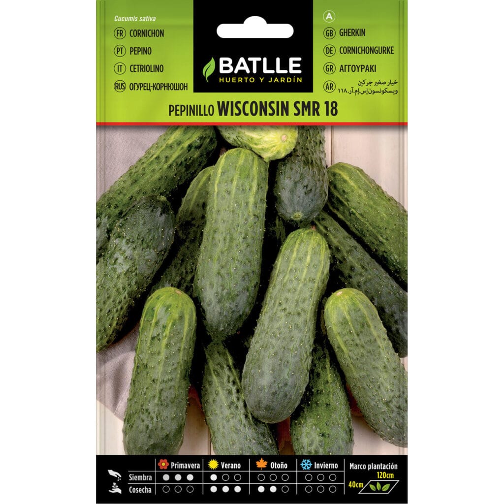Pepinillo Wisconsin
