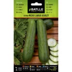 PEPINO ASHLEY MEDIO LARGO