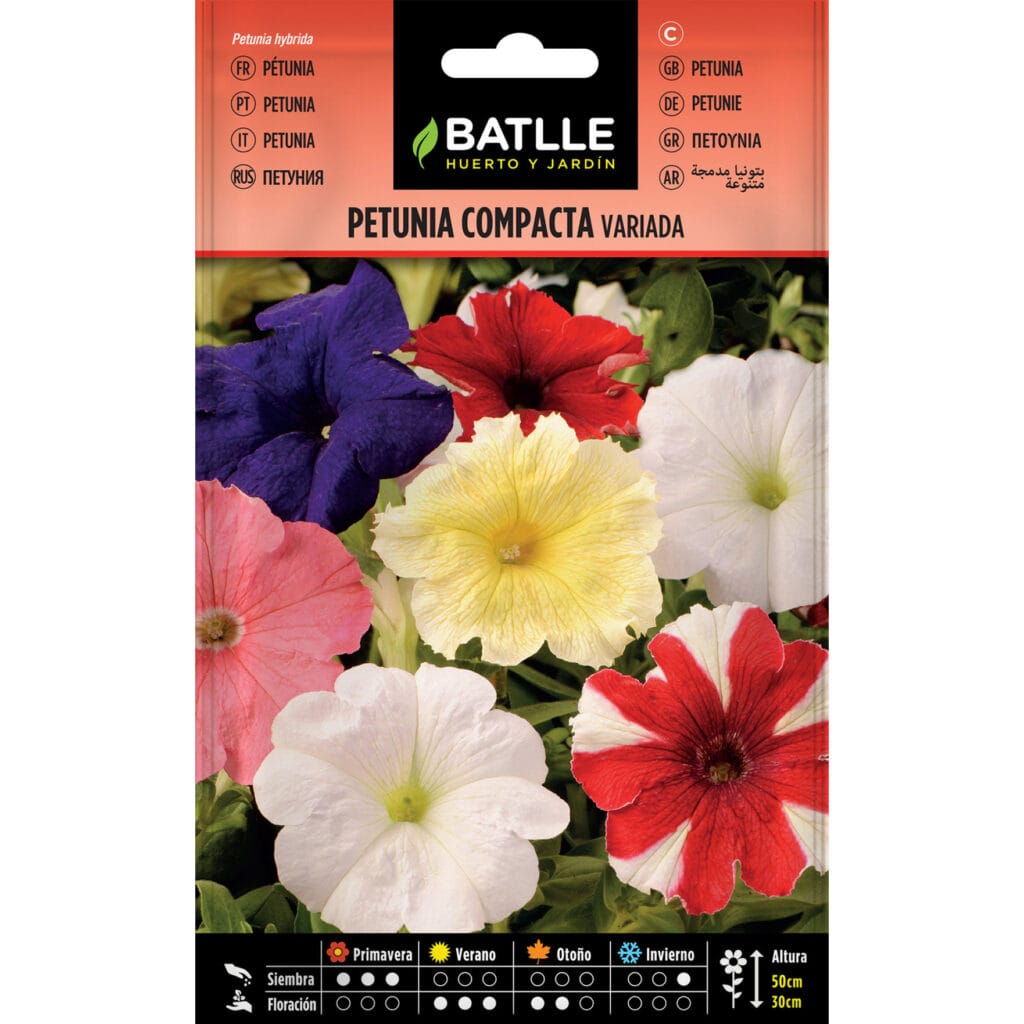 PETUNIA COMPACTA VARIADA