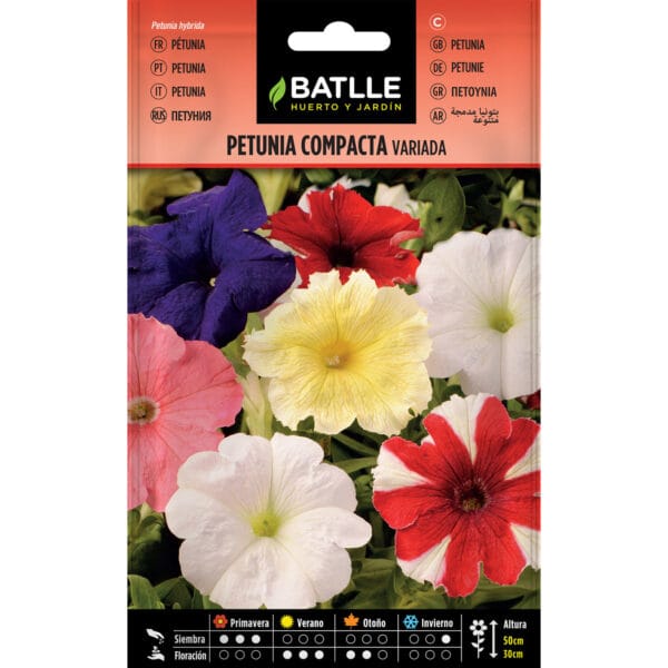 PETUNIA COMPACTA VARIADA