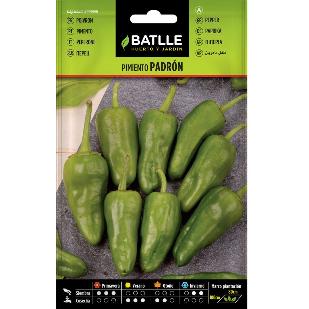 Pimiento Padron