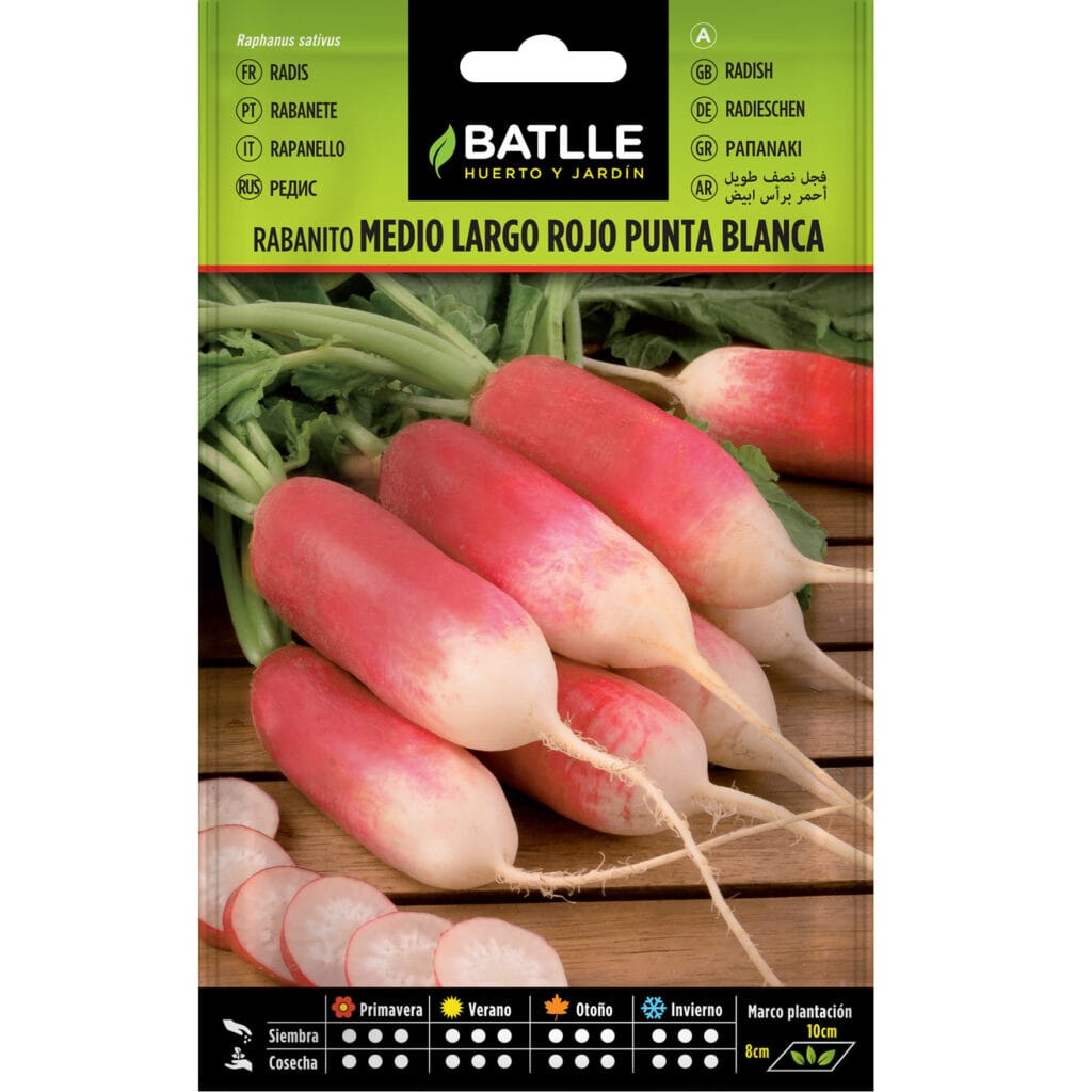 Rabanito Medio Largo Rojo Punta Blanca
