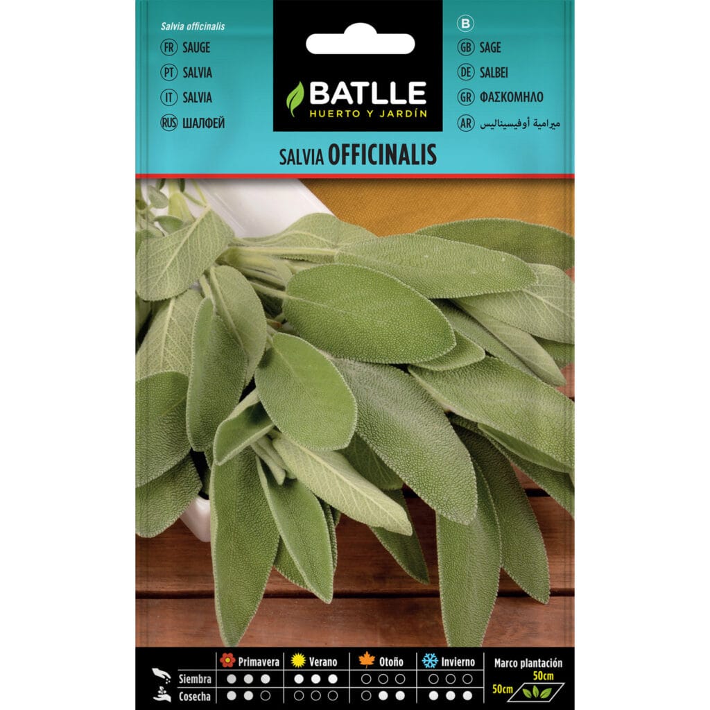 Salvia Officinalis