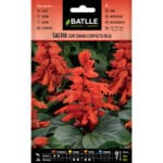 SALVIA SEMI ENANA ROJA