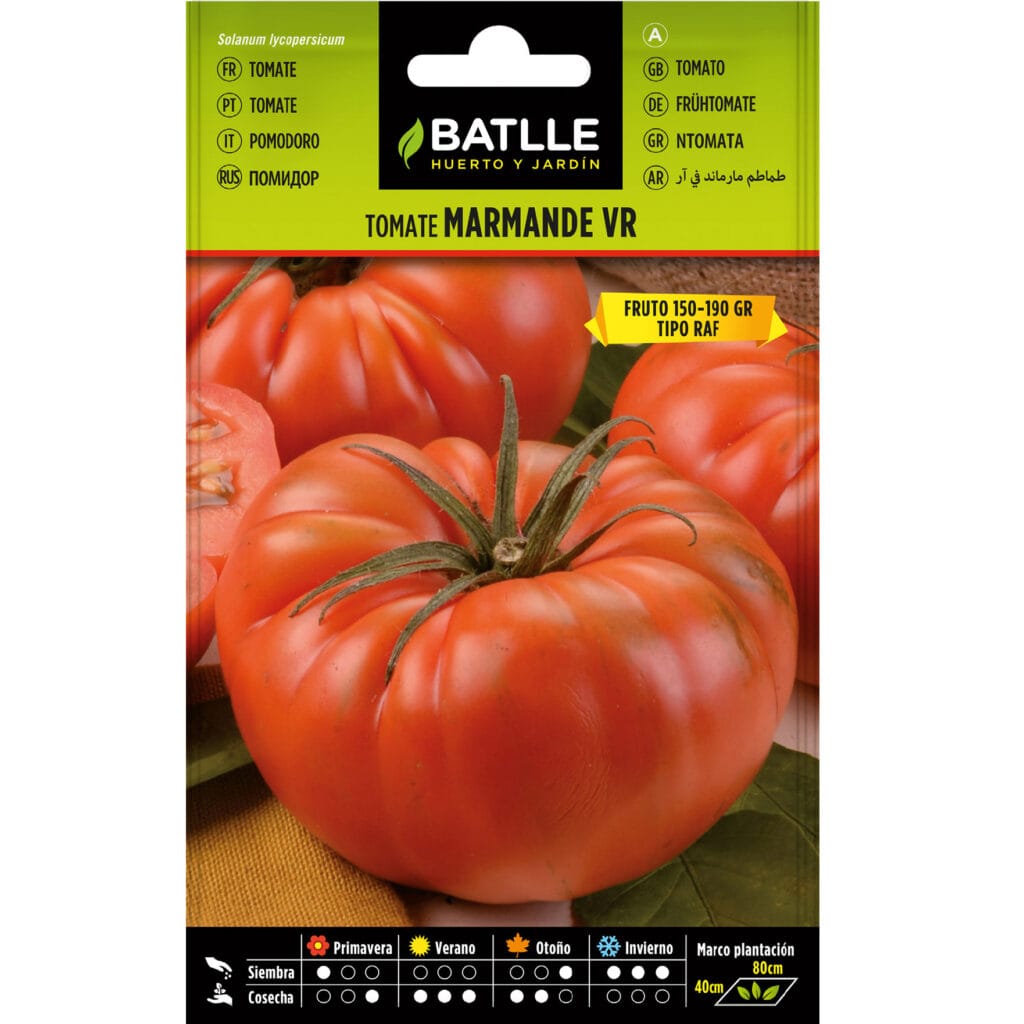 Tomate Marmande Vr Tipo Holanda