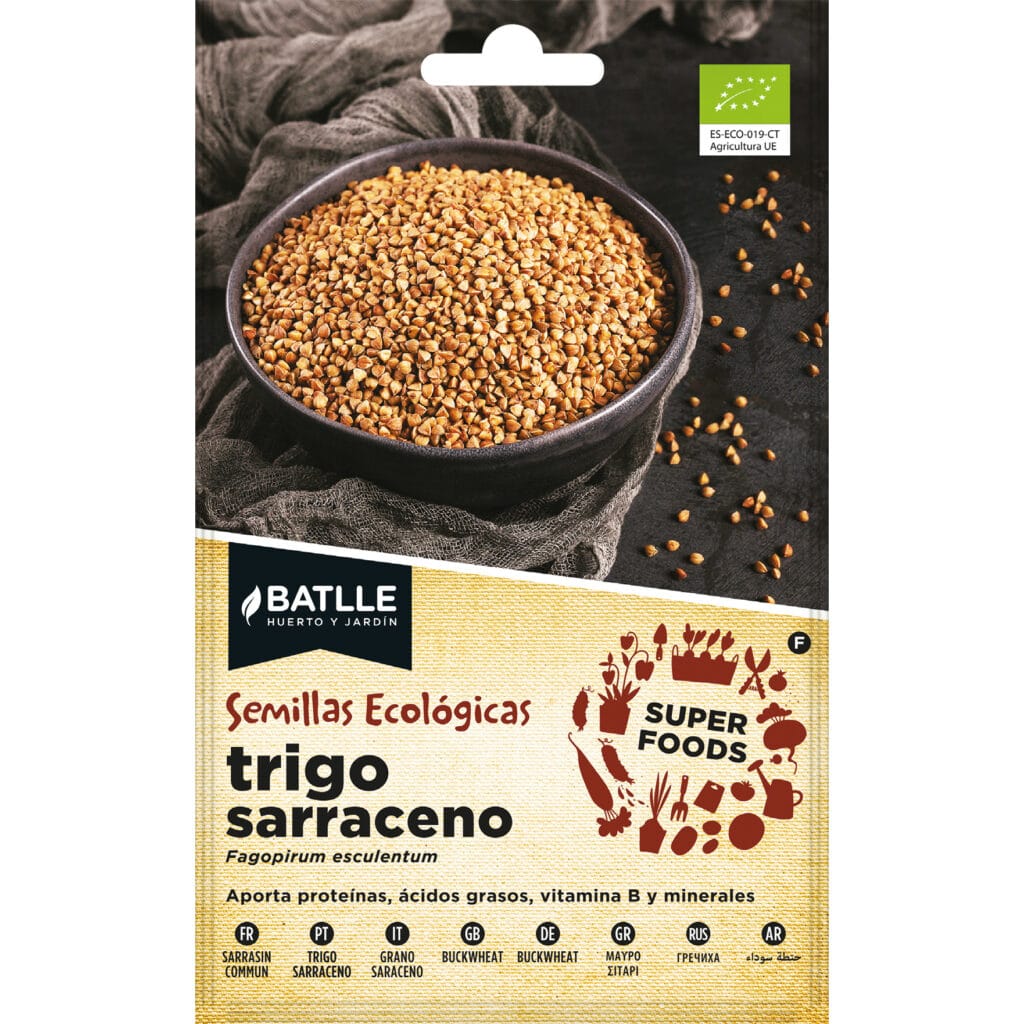 Trigo Sarraceno