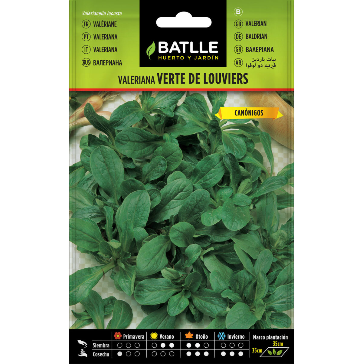 VALERIANA VERTE DE LOUVIERS - Imagen 1