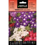 VERBENA ALTA VARIADA HIBRIDA