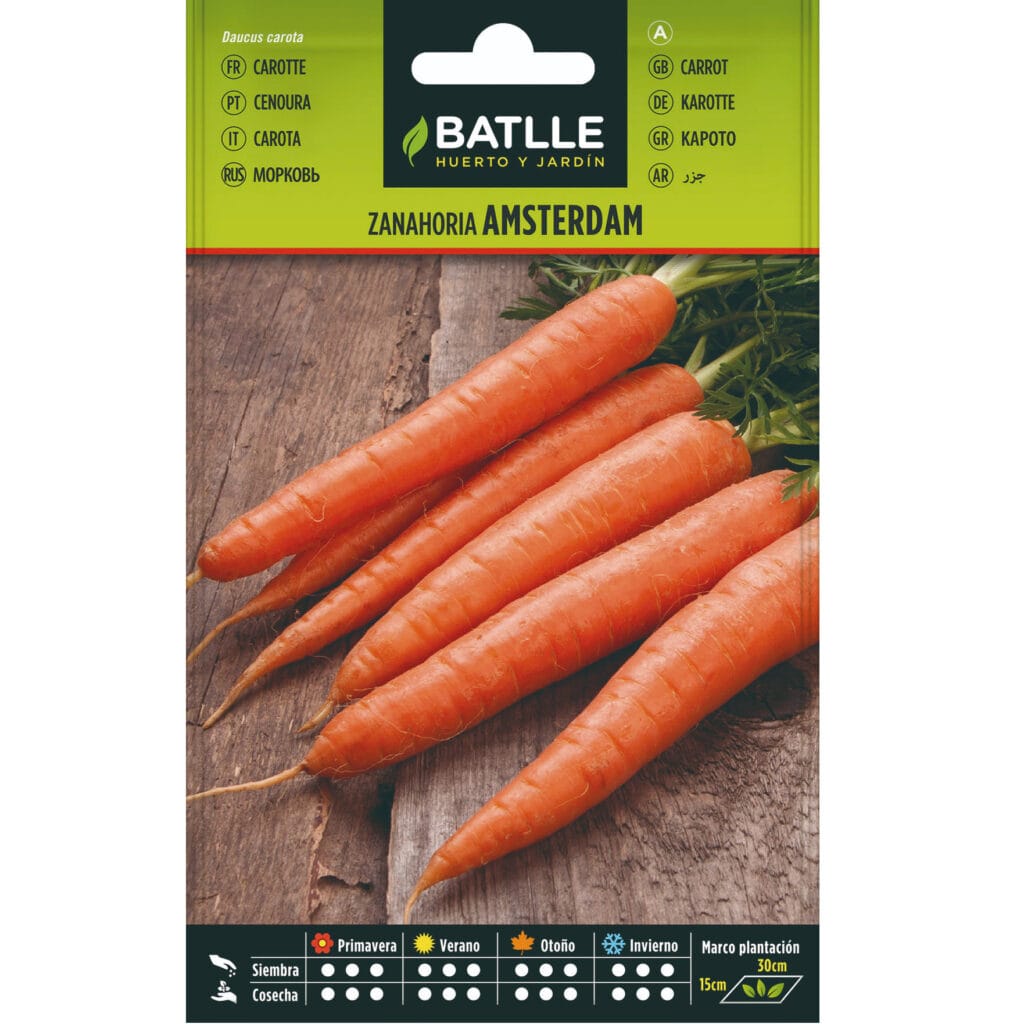 Zanahoria Amsterdam