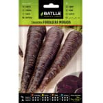 ZANAHORIA FORRAJERA MORADA