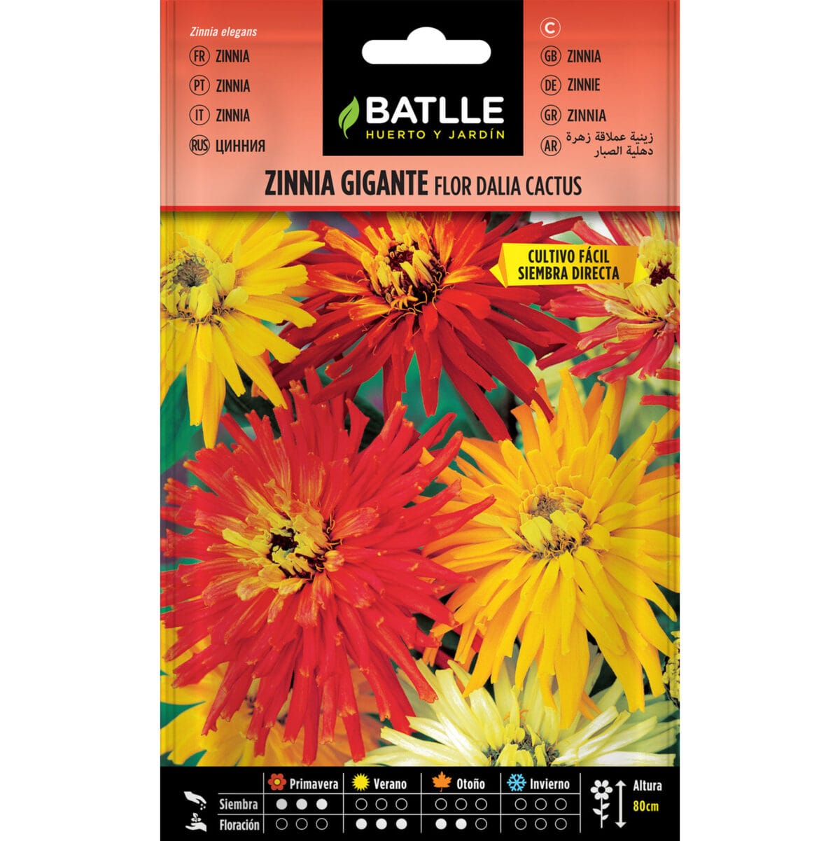 ZINNIA GIGANTE FLOR DALIA CACTUS - Imagen 1