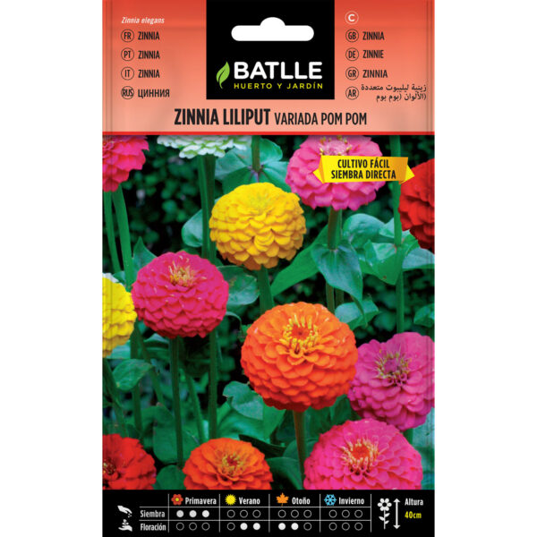 ZINNIA LILIPUT VARIADA POMPOM