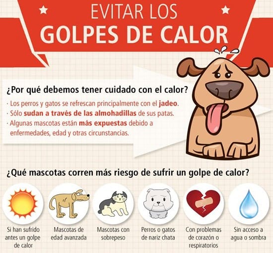 calor1