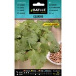 CILANDRO - CORIANDRUM SATIVUM