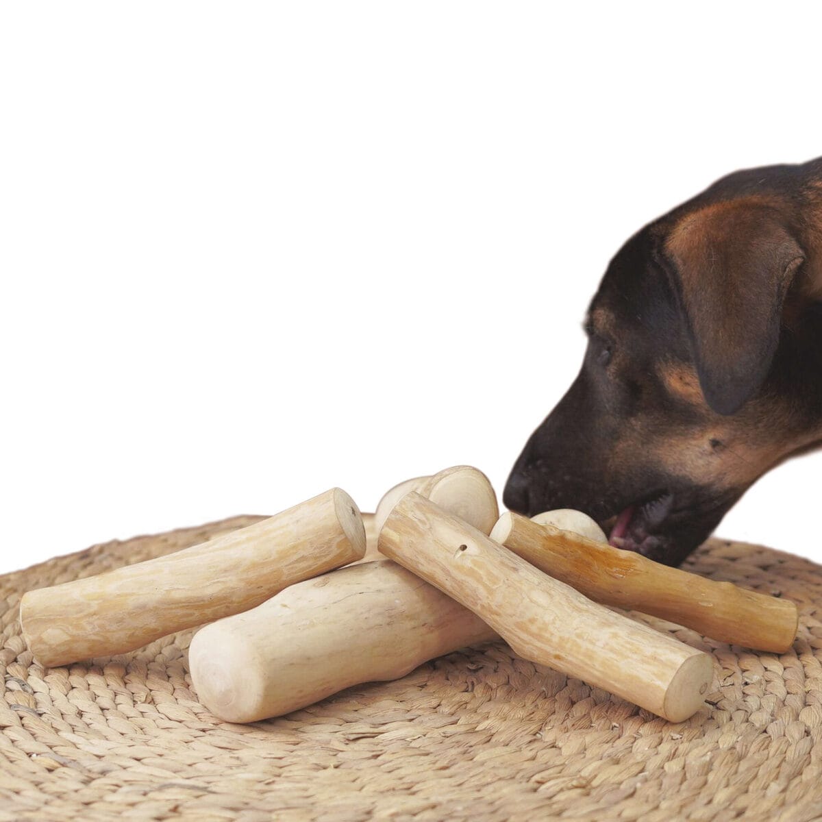 STICK MADERA DE CAFE T-XS - Imagen 5