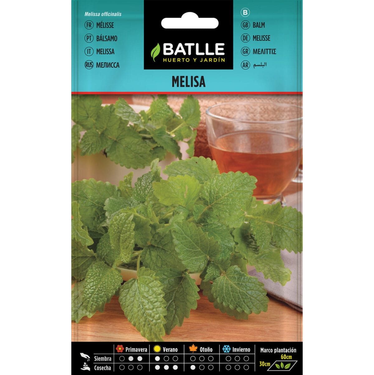 MELISA OFFICINALIS - Imagen 1