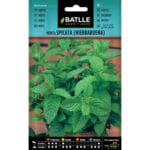 MENTA SPICATA (HIERBABUENA)