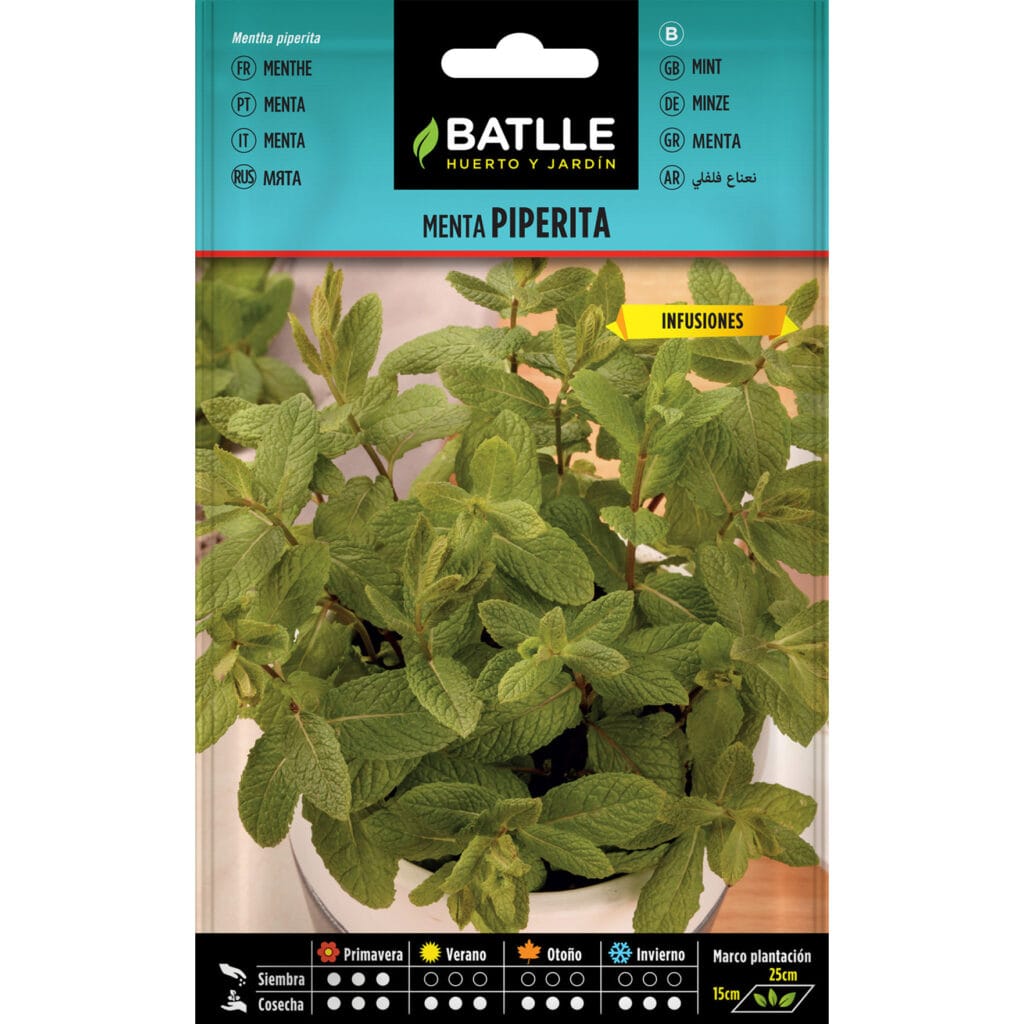 MENTA PIPERITA
