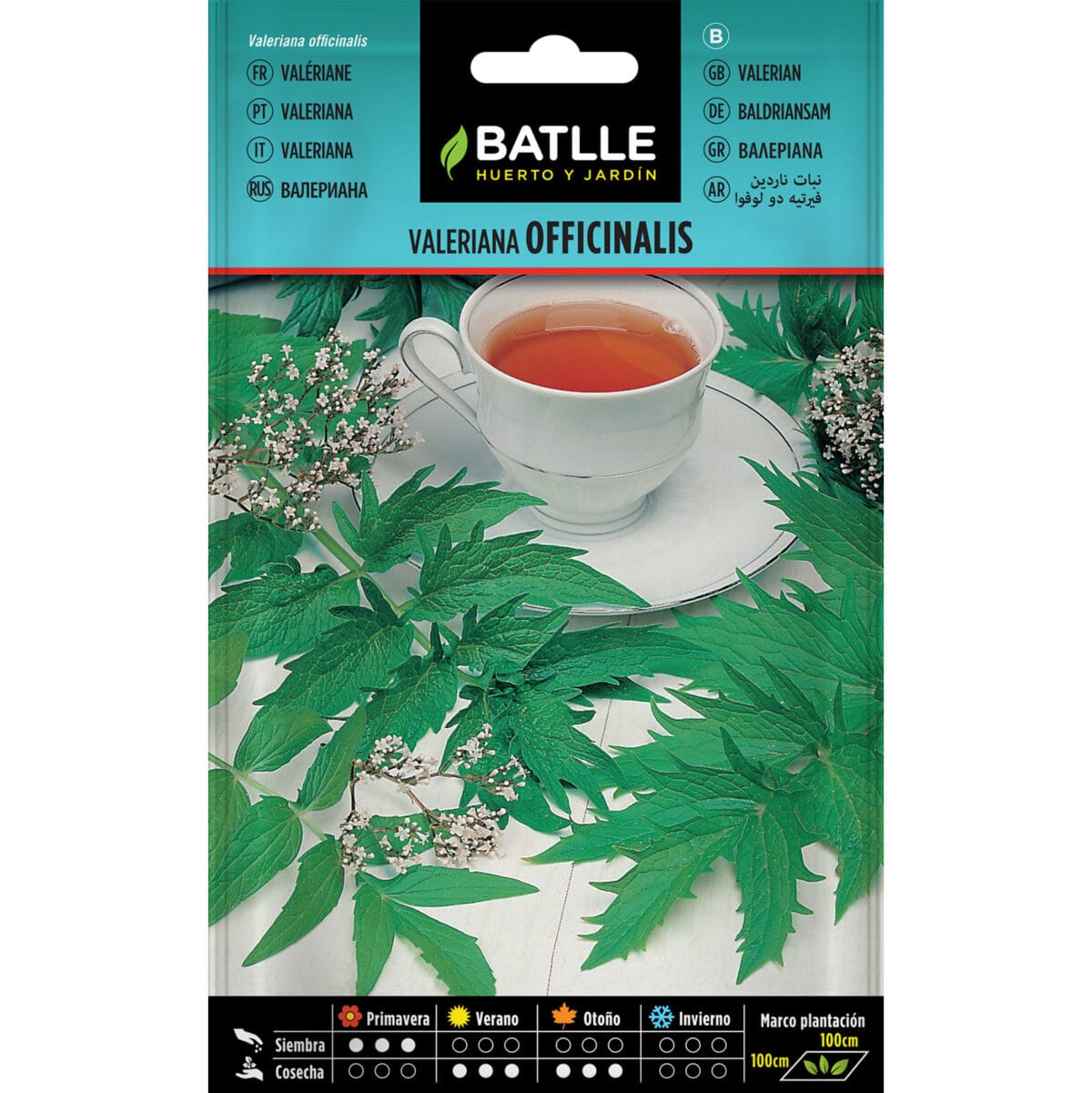 VALERIANA OFICINALIS - Imagen 1