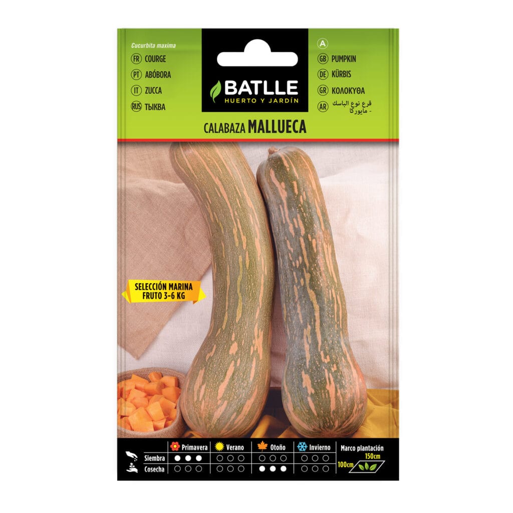 011307bols calabaza mallueca
