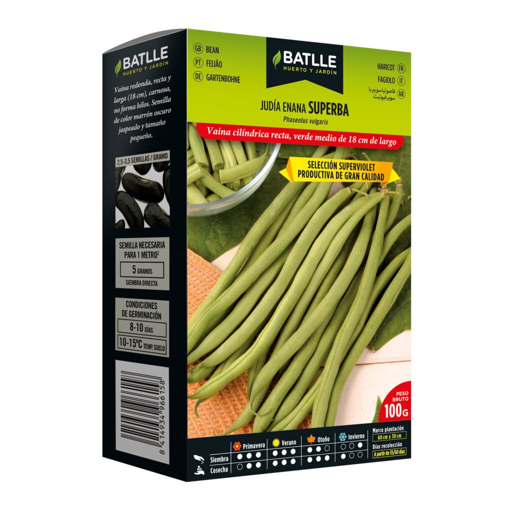 3 tn 020598g100 judia superba c1