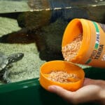 PROTERRA GAMMARUS 250 ML - Imagen 3