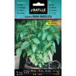 ALBAHACA ENANA MARSELLESA