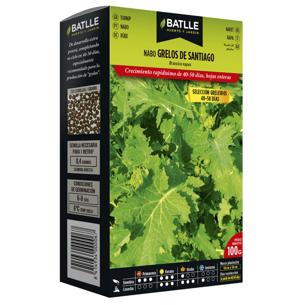 Nabo Grelos De Santiago sel. Greleiros