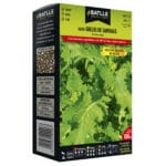 NABO 40-50 DIAS SANTIAGO 250 GRS