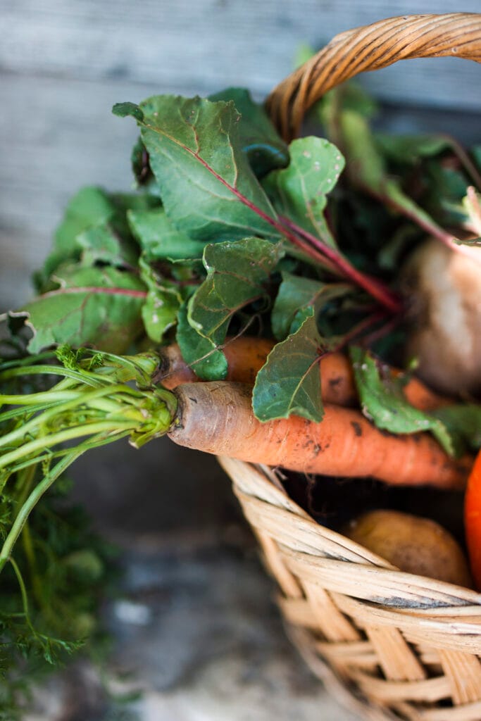 la mitad de una canasta con zanahorias organicas y una canasta con calabazas zanahorias y rabanos