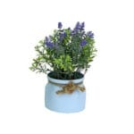 LAVANDA MACETERO LECHERA AZUL