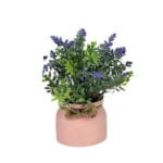 LAVANDA MACETERO LECHERA ROSA