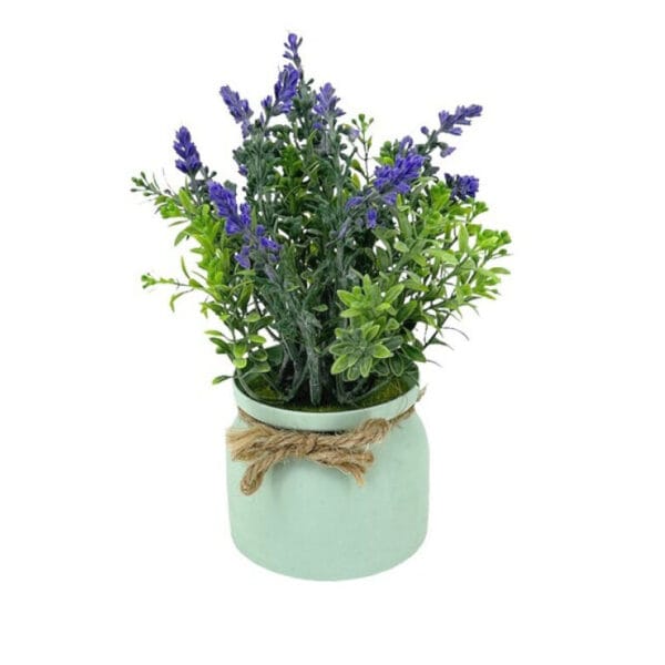 LAVANDA MACETERO LECHERA VERDE