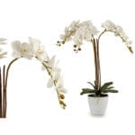 ORQUIDEA BLANCA JUMBO 44X40X78 C