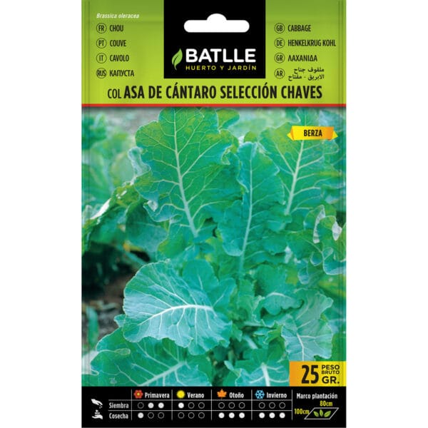 COL ASA CANTARO SELECCION CHAVES