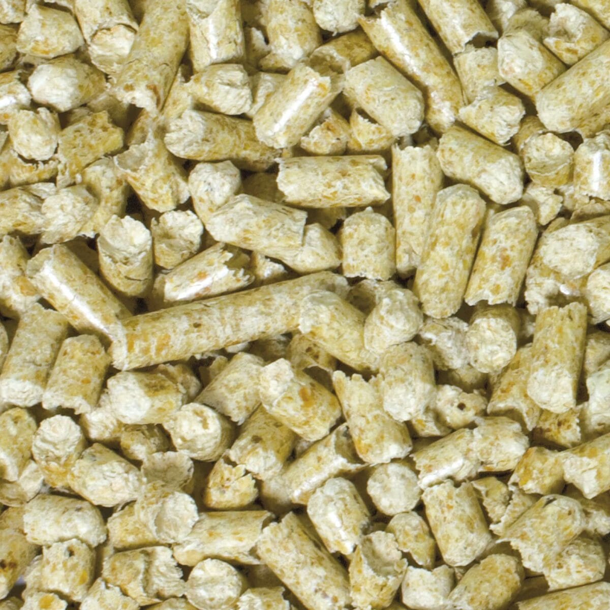 BIRABBIT 12 KG - Imagen 2