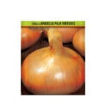 CEBOLLA PAJA VIRTUD 500 GR 21/24