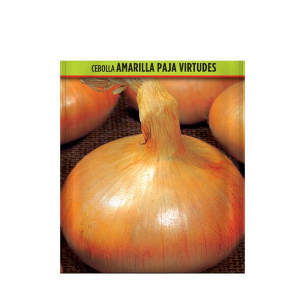 CEBOLLA PAJA VIRTUD 500 GR 21/24