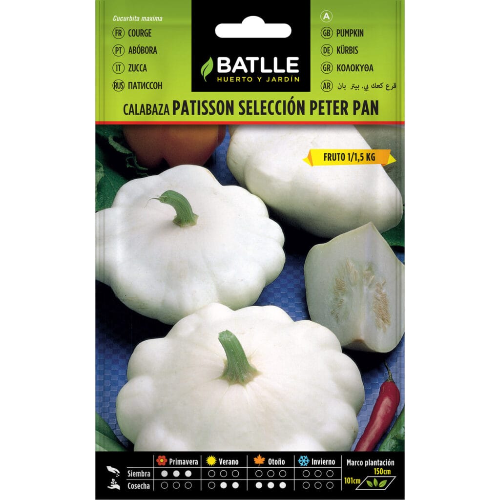 011309bols calabaza patisson b peter pan