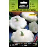 CALABAZA PATISSON B. PETER PAN