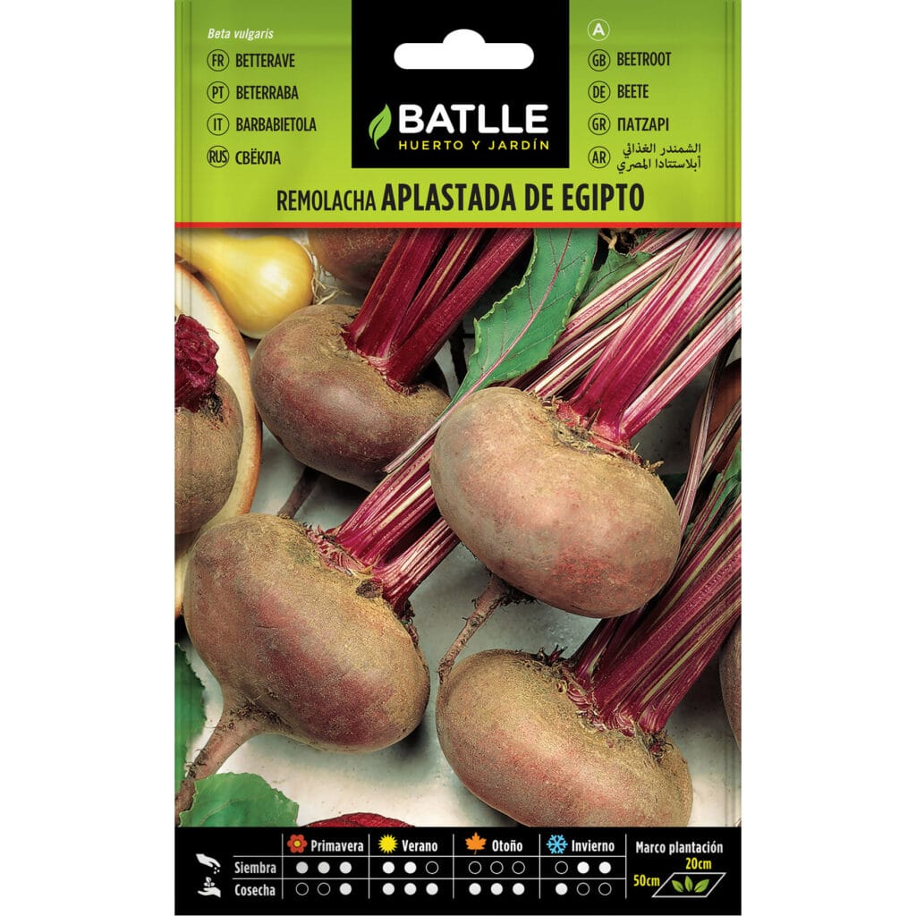 015301bols remolacha aplastada egipto